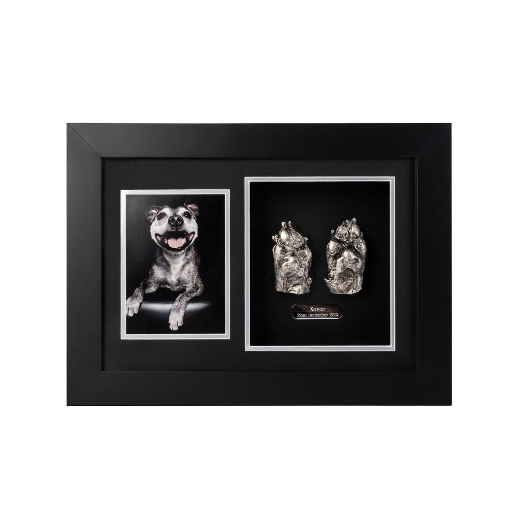 Framed Paw Castings - Double Paws & Photo