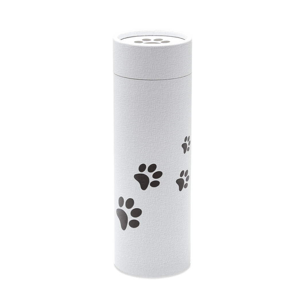 Paw Print Scatter Tube